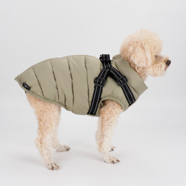 Winter Dog Coat With Reflective Harness