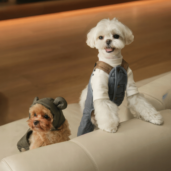 Dog One Piece Button Padded Jacket