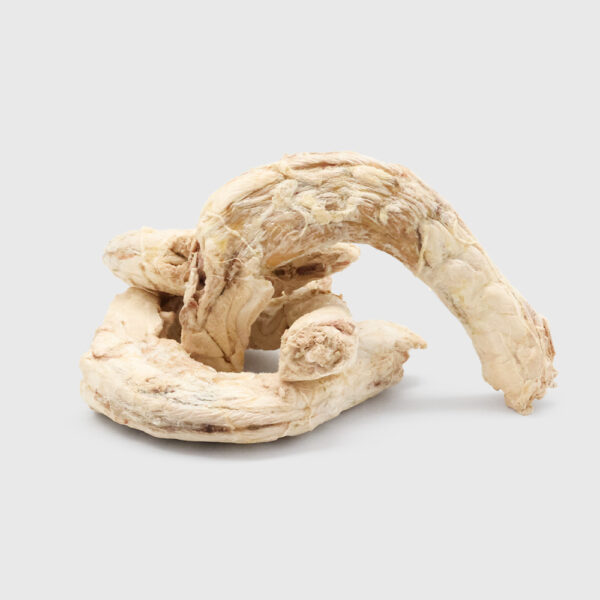 Freeze Dried Chicken Neck - Mizu&Co.