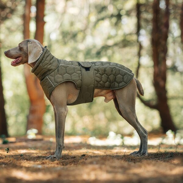 Dog Woodland Jacket Outdoor Wear with Adjustable Buckle and Thermal Lining Coat Reflective in Night