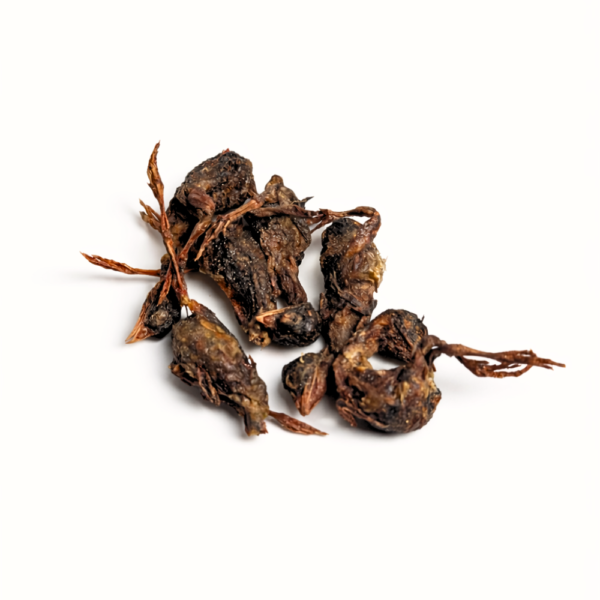 Freeze Dried Whole Quail - Mizu&Co.