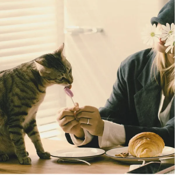 Mizu&Co Influencer Sample Pack