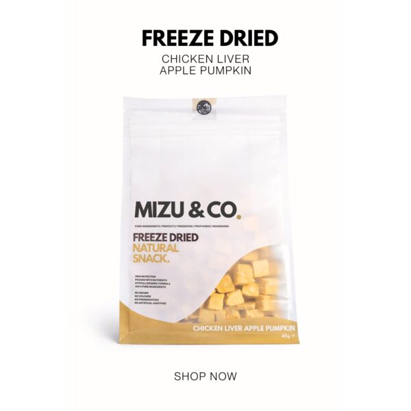 Freeze Dried Chicken Liver Pumpkin Cubes - Mizu&Co.