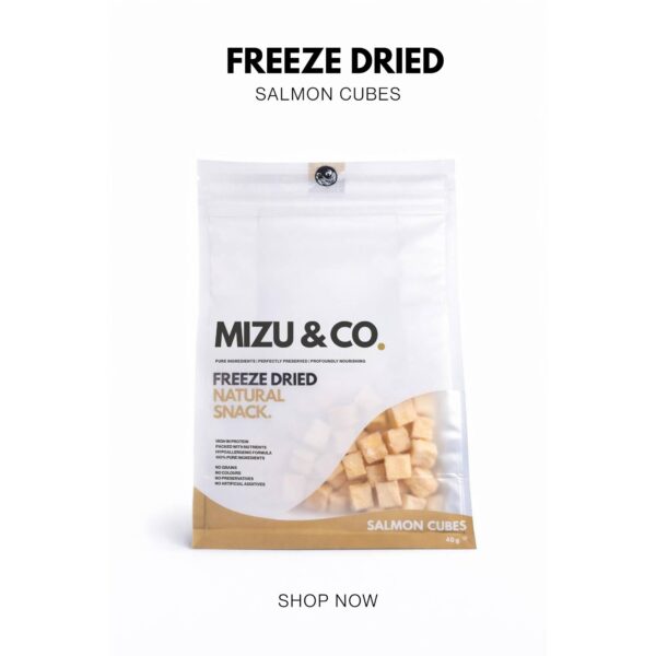Freeze Dried Salmon Cubes - Mizu&Co.
